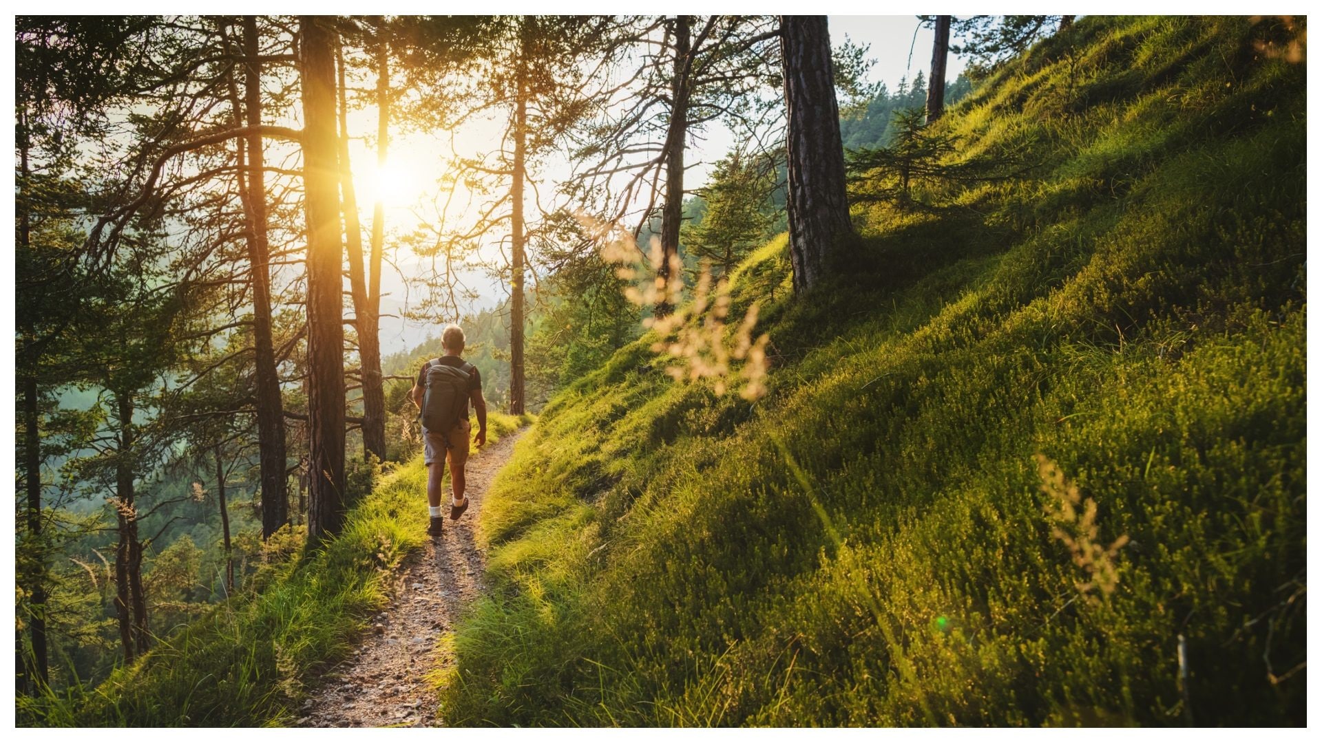 Sentiero Italia è il cammino più lungo del mondo, 8.000 chilometri che uniscono tutto il Paese