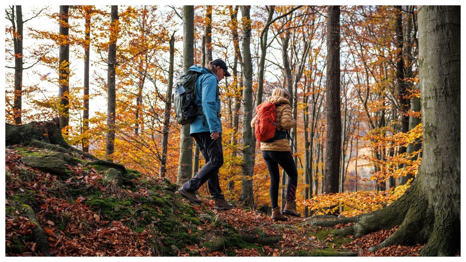 Dove fare trekking per ammirare il foliage: 5 luoghi da visitare in Italia secondo la Redazione di Fanpage