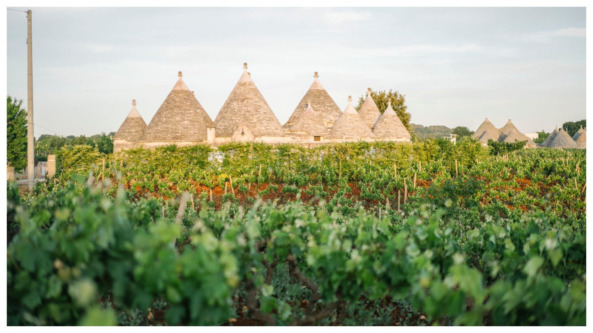 I posti più particolari dove dormire in Italia, dalle case sugli alberi in Friuli alle stanze nel faro a Ischia