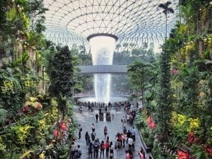 aeroporto-singapore-migliore-al-mondo-2025-300x225.jpg