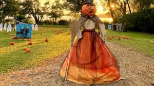 Campi di zucche a Halloween 2025, dove trovare i villaggi più belli in Italia e quanto costa visitarli