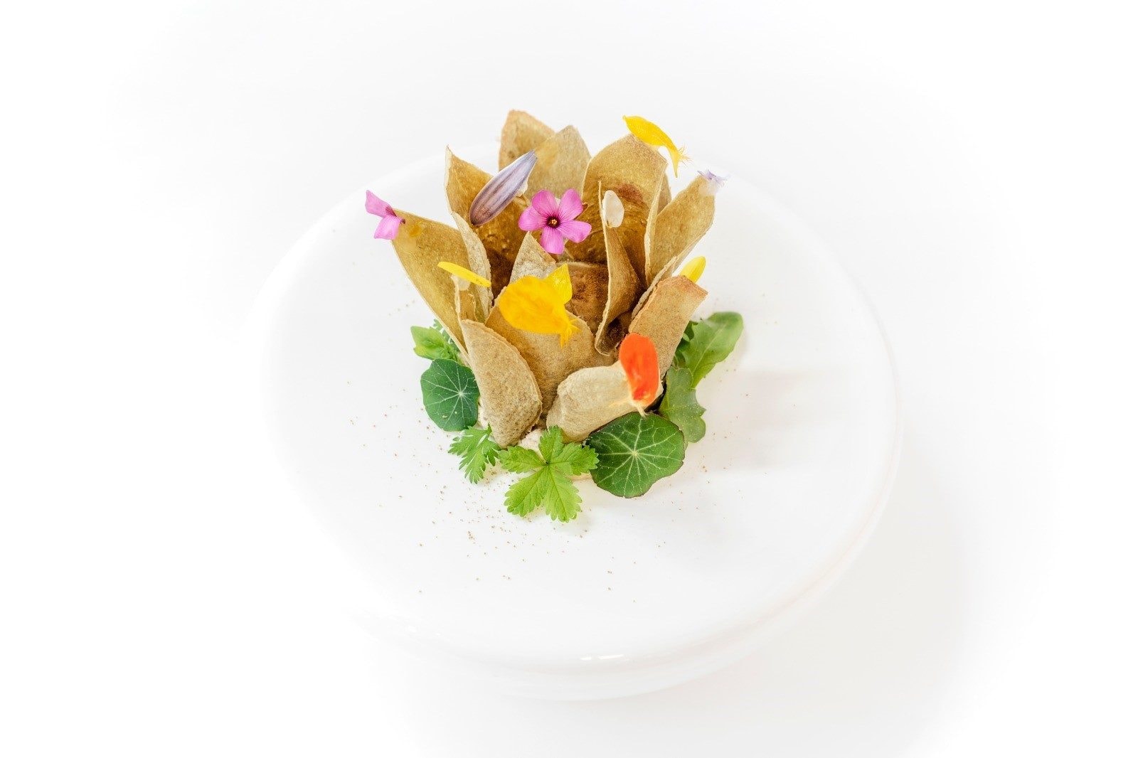 Gelato al carciofo
