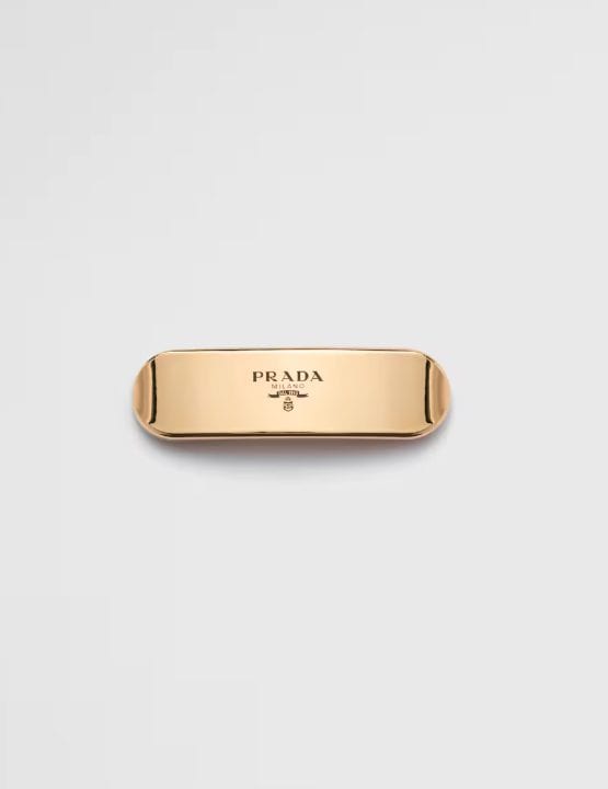 Fermaglio per capelli in metallo da 480 euro