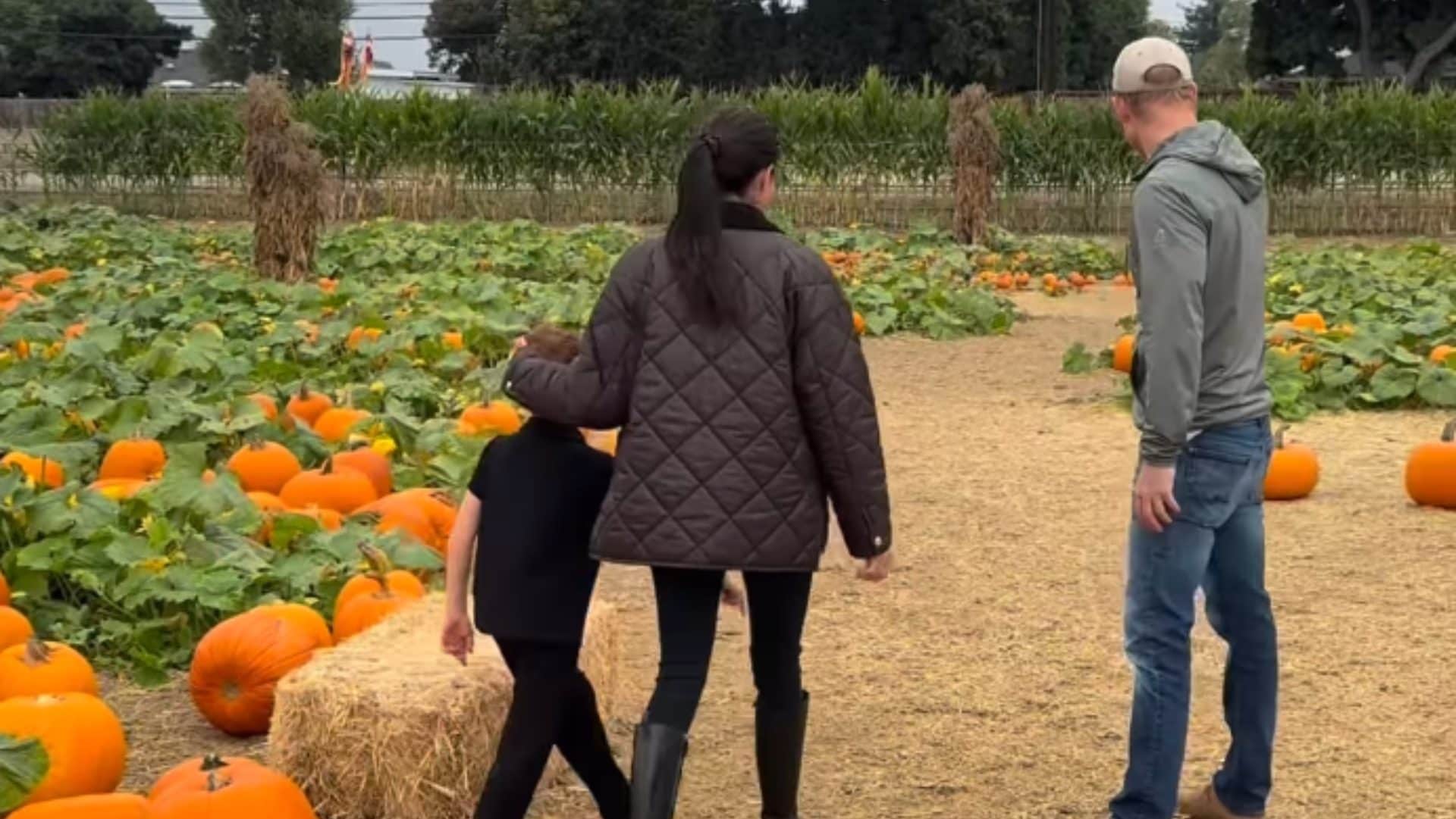 Harry e Meghan in un campo di zucche di Halloween: Archie e Lilibet coi capelli rossi sembrano gemelli