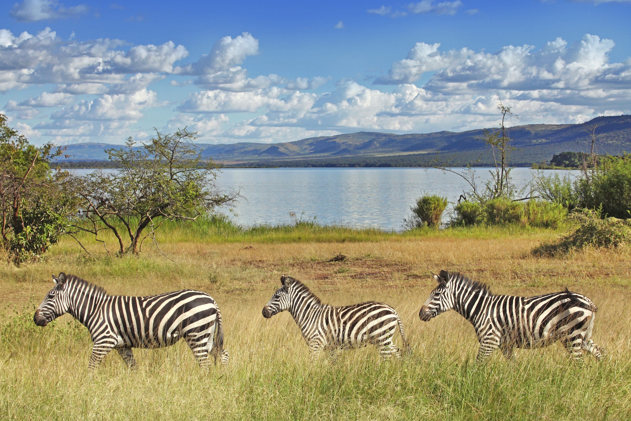 Parco nazionale Akagera, Ruanda