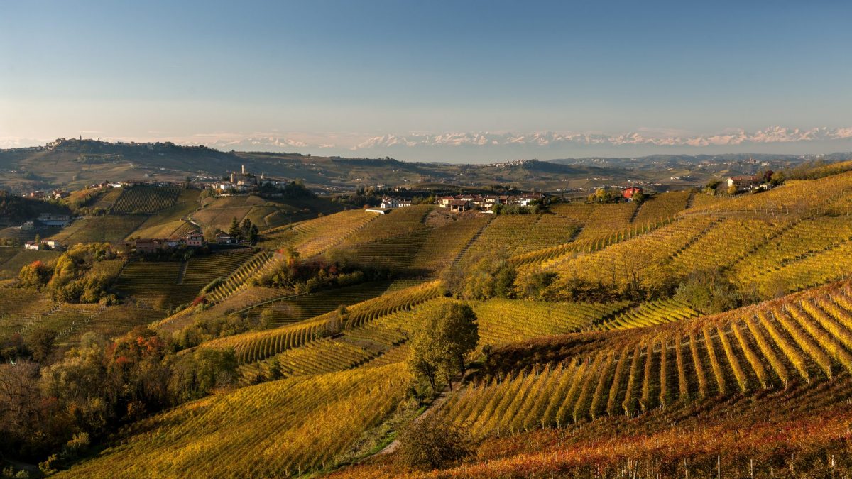 Langhe d’autunno