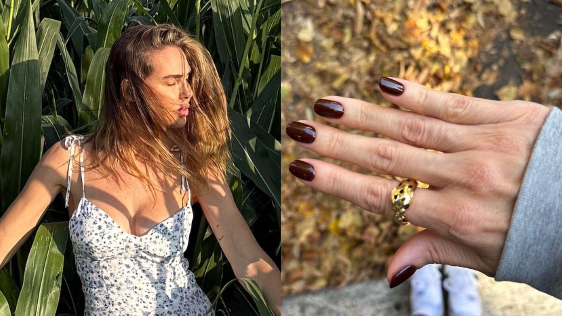 Ilary Blasi ha un nuovo anello: è a forma di pantera e costa oltre 8mila euro