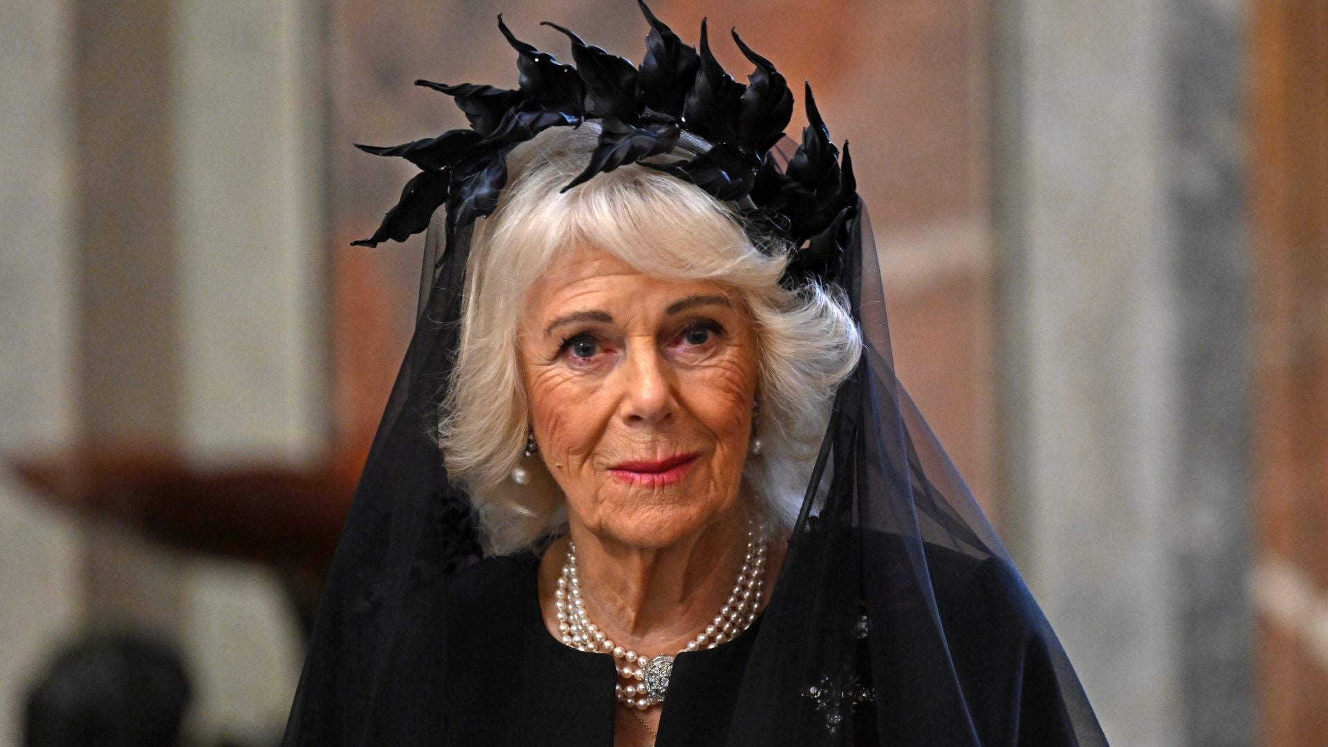 Perché la regina Camilla per incontrare Papa Leone XIV veste di nero (con la corona di foglie dark)