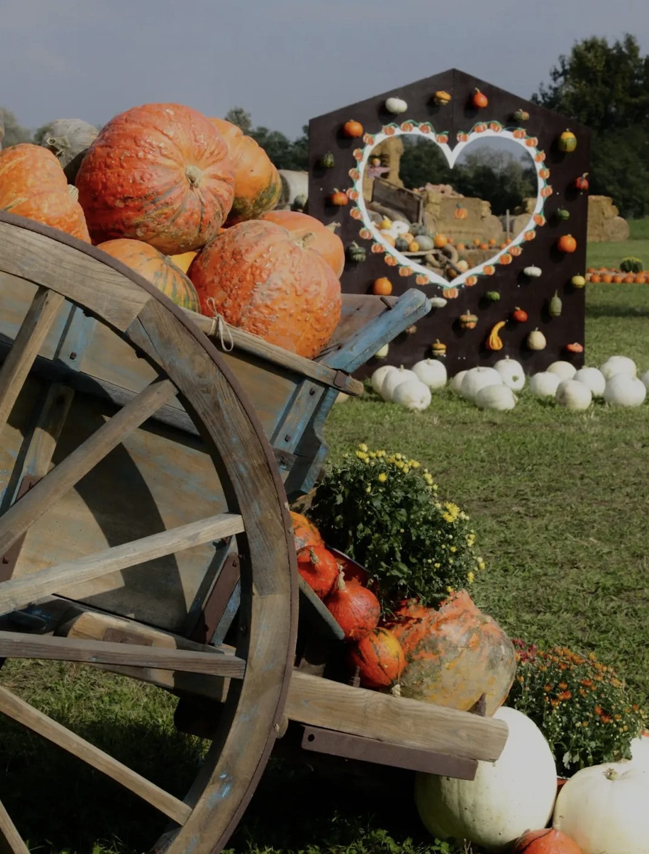 Villaggio della Zucca, Favria (Torino)
