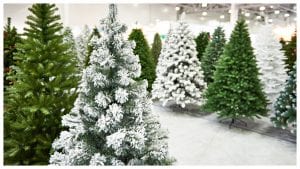 Albero di Natale vero o finto, qual è il più sostenibile? I pro e i contro per ogni scelta