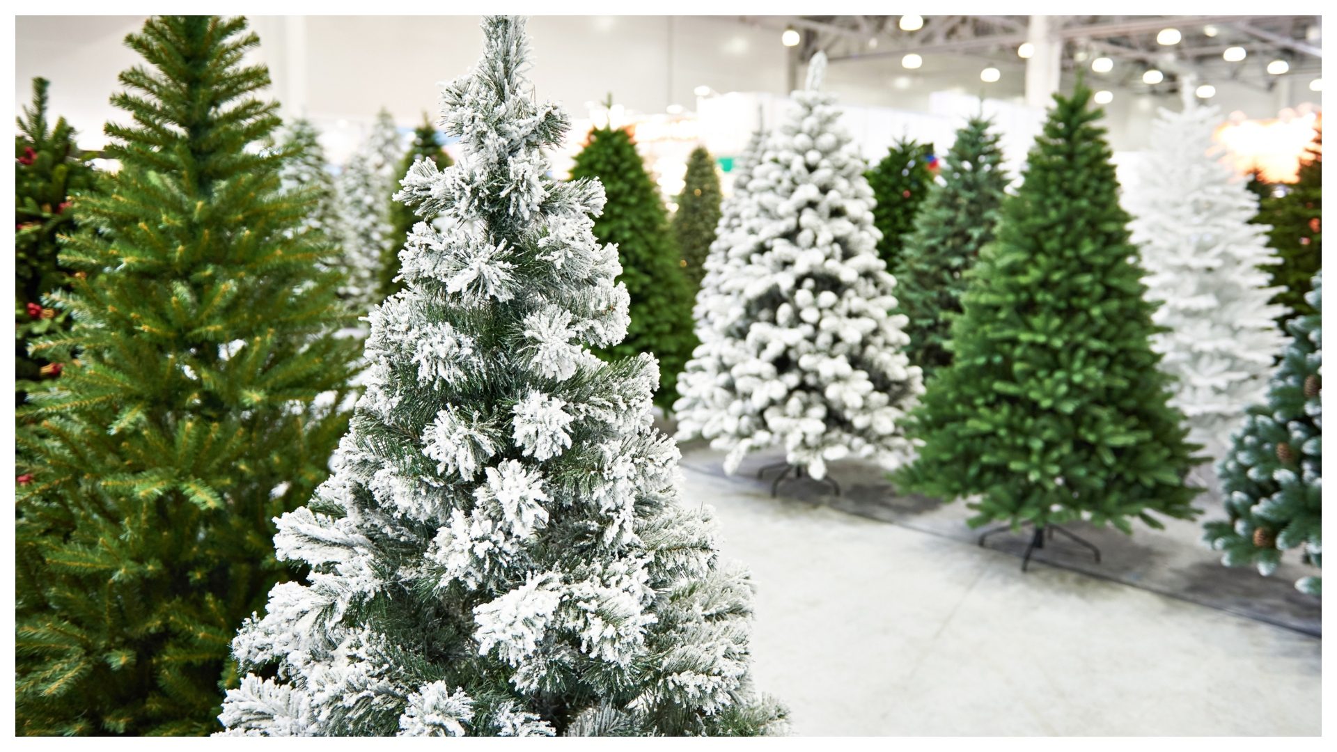 Albero di Natale vero o finto, qual è il più sostenibile? I pro e i contro per ogni scelta