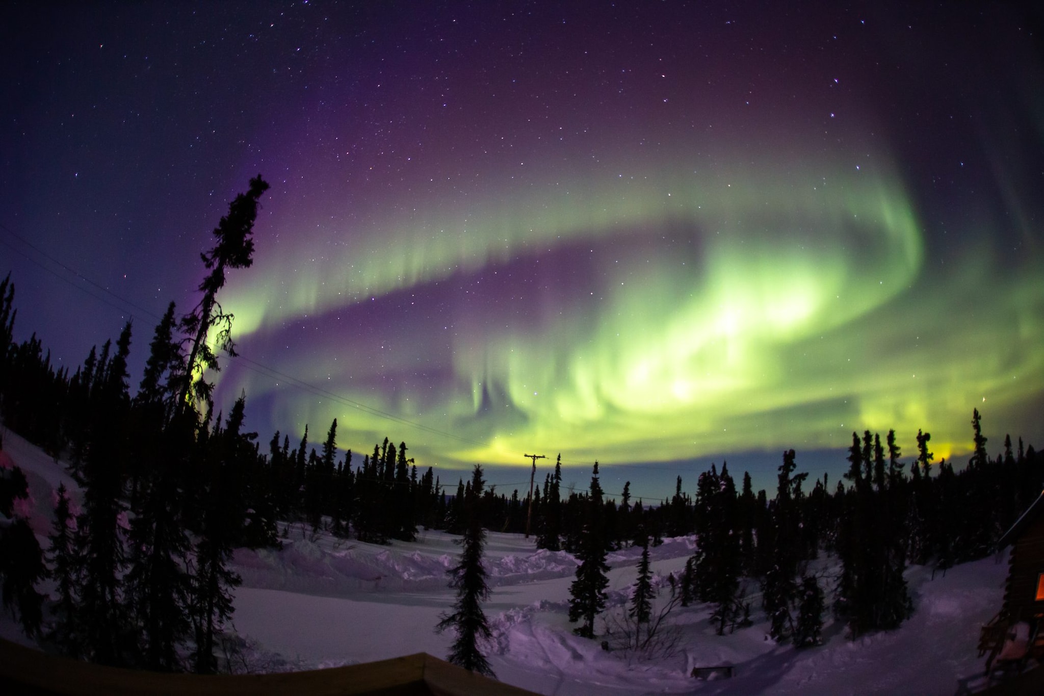 Aurora boreale Fairbanks, Alaska