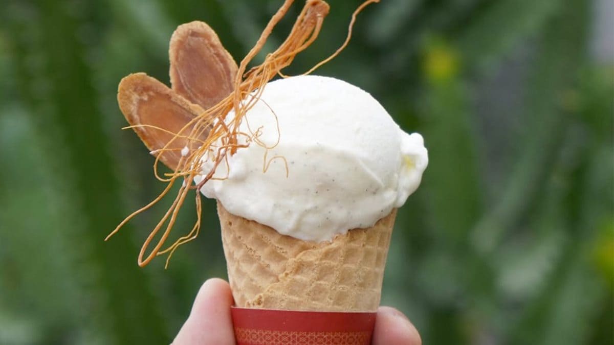 Foto dal profilo Instagram @blue___gelato