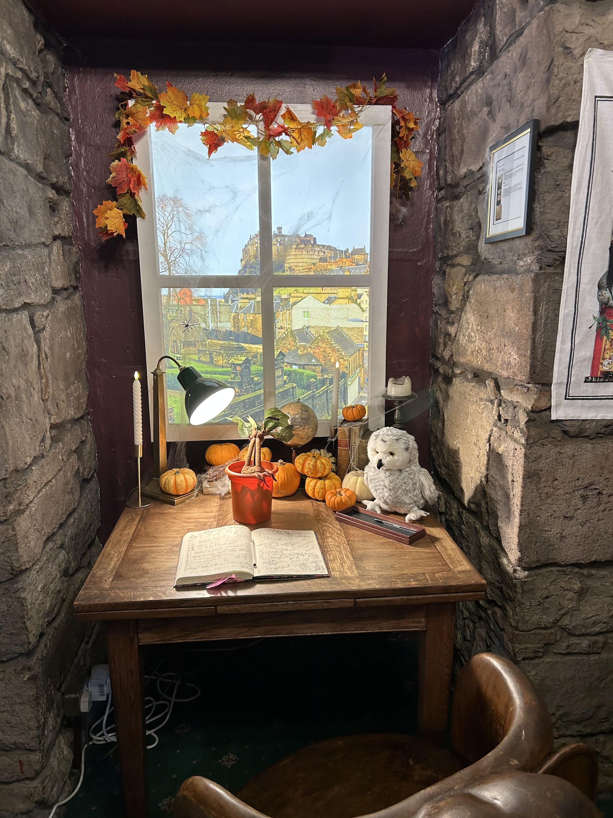 Interno dell’Elephant House