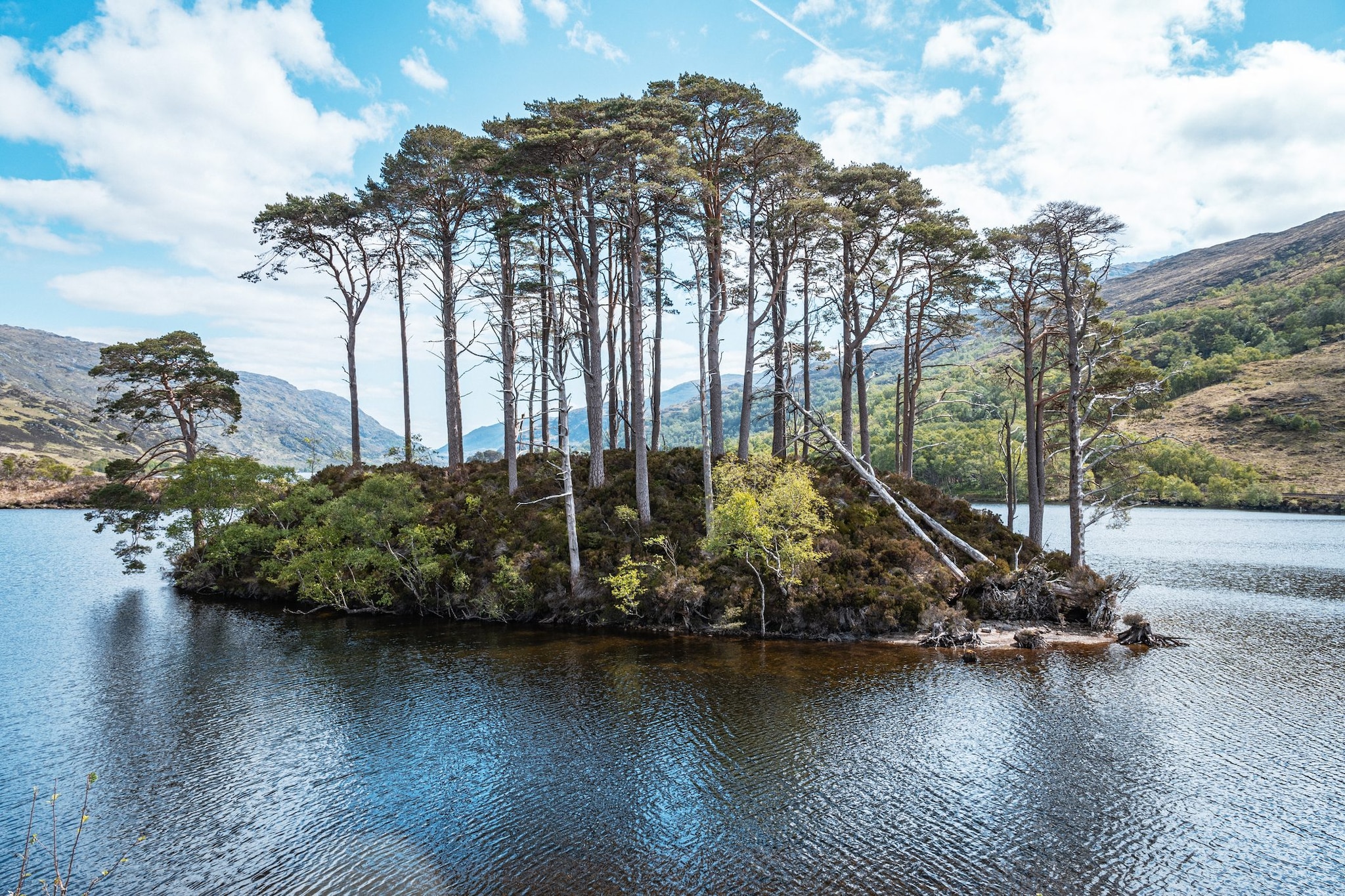 Isola di Eilean na Moine a Loch Eilt, famosa location del film di Harry Potter