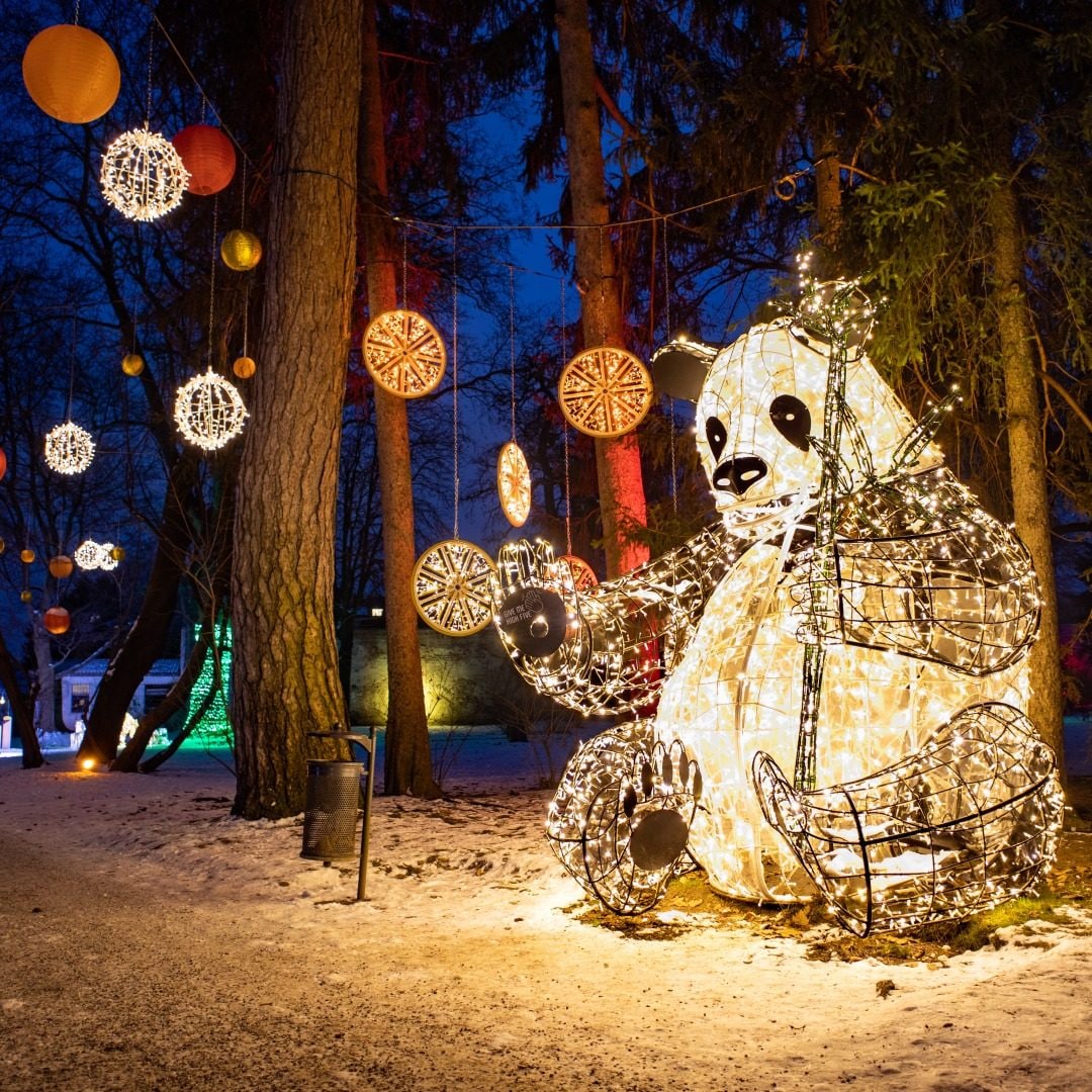 Una delle installazioni di Lumagica, Merano