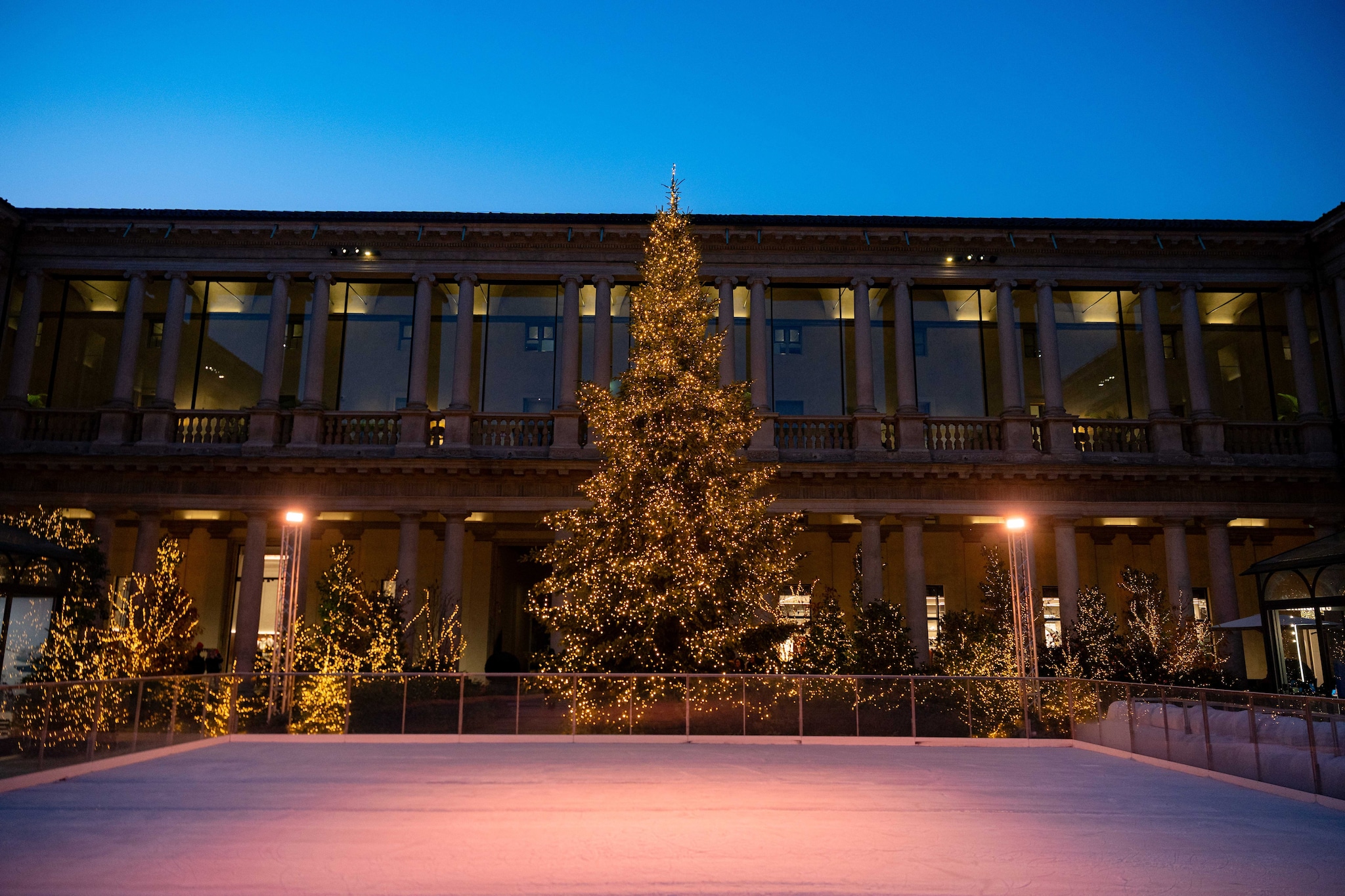 The Gift: Portrait of a Winter’s Tale