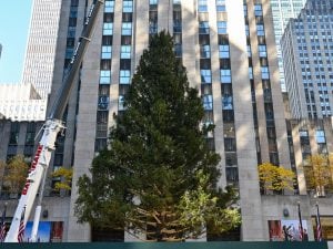 Rockefeller-Center-albero-natale-2025-300x225.jpg