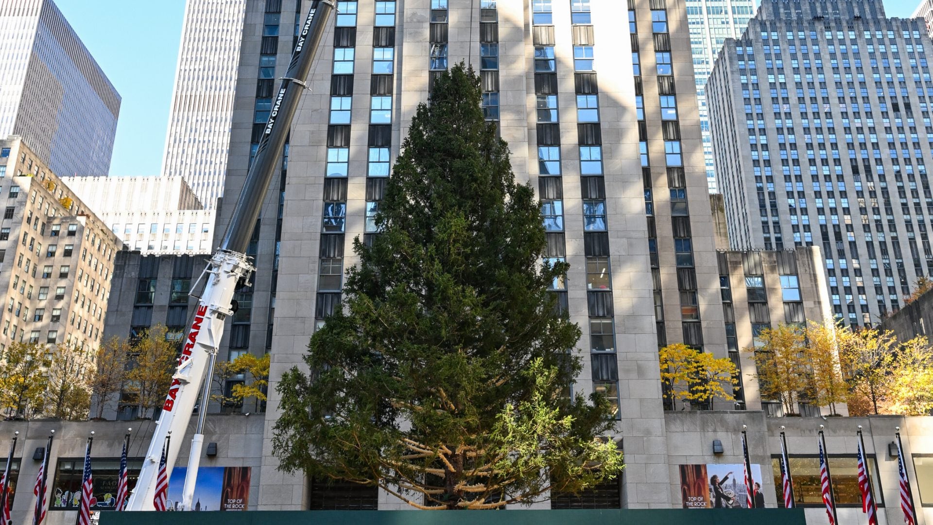 L'albero di Natale al Rockefeller Center ha una storia commovente: ricorda una persona che non c'è più