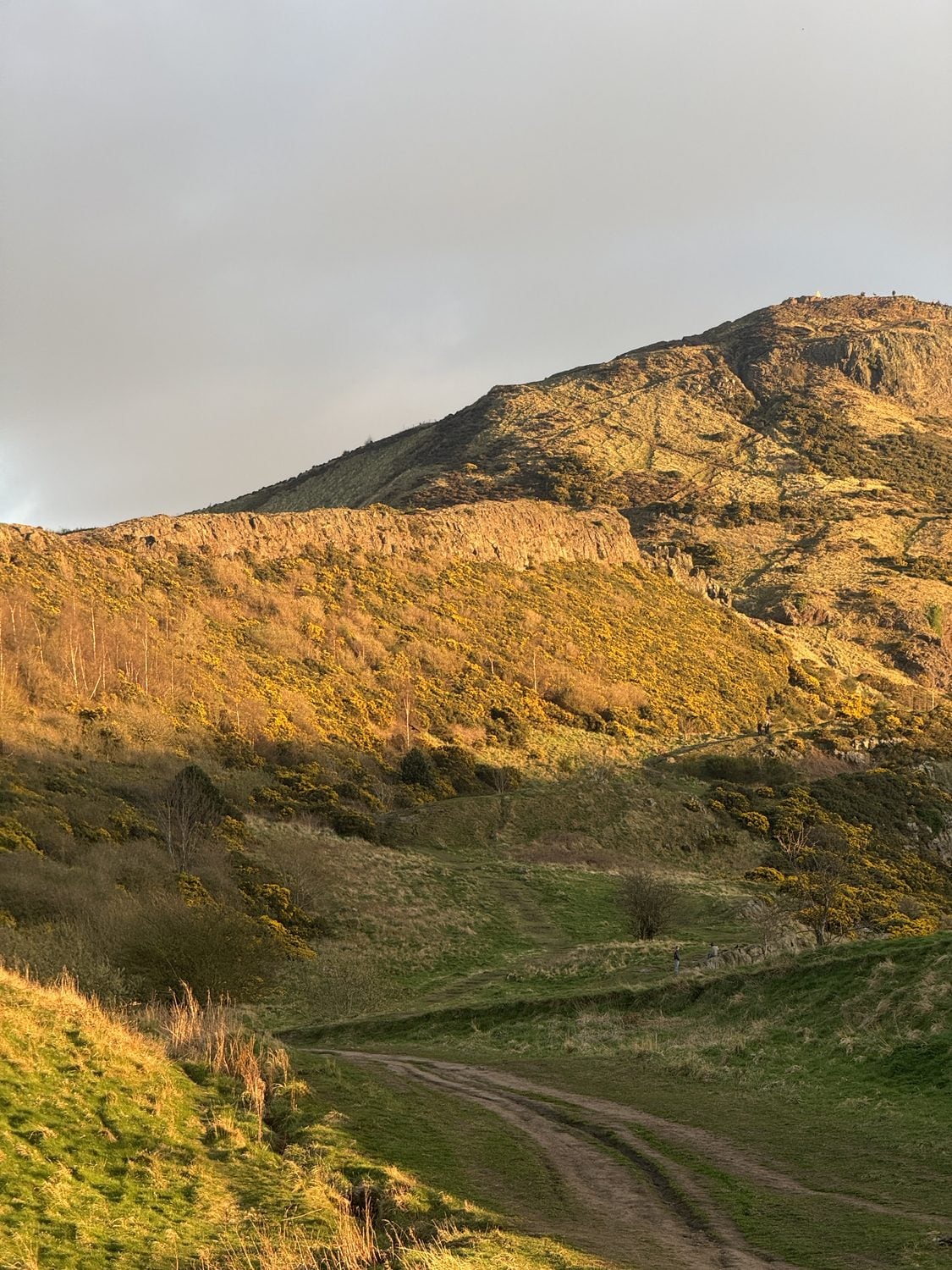 Sentiero che porta ad Arthur’s Seat Hills