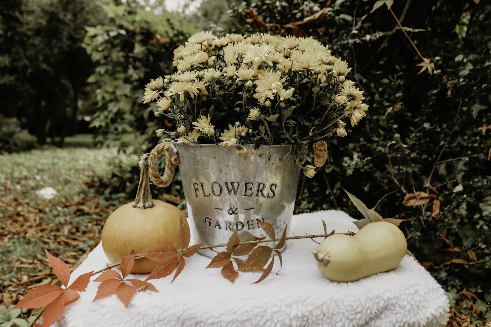 Accessori di metallo per la tavola