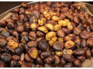 castagna-300x225.jpg