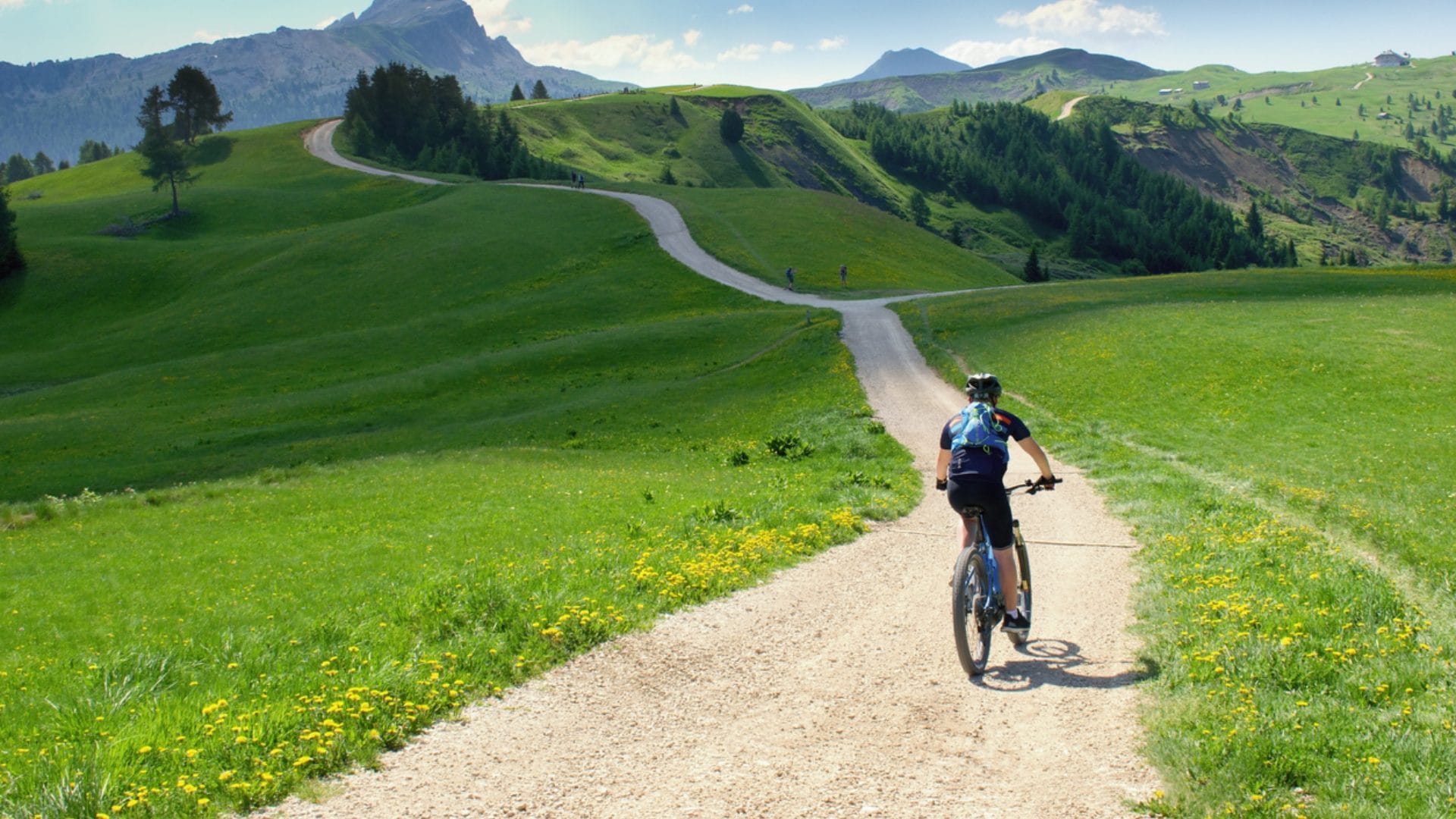 Qual è il paese europeo perfetto per organizzare una vacanza in bicicletta
