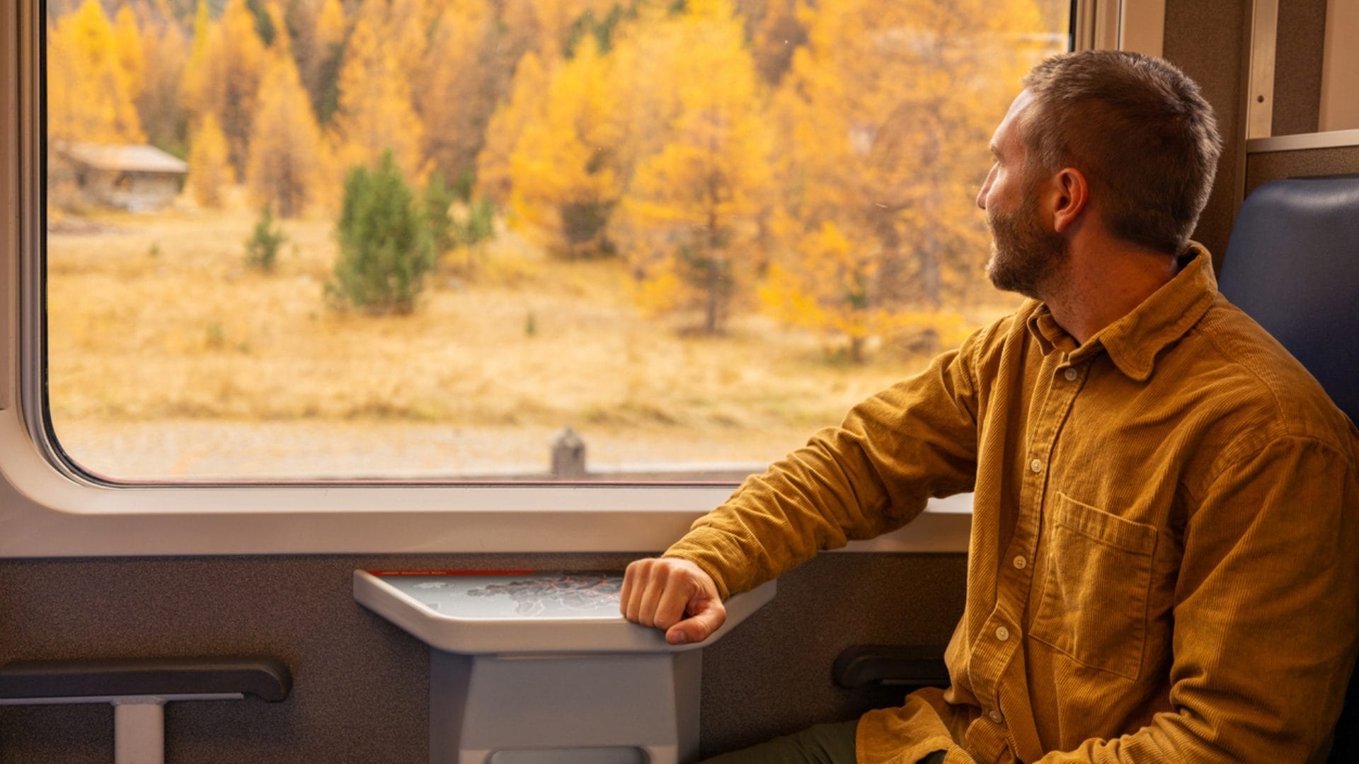 Perché a bordo dei treni non ci sono le cinture di sicurezza