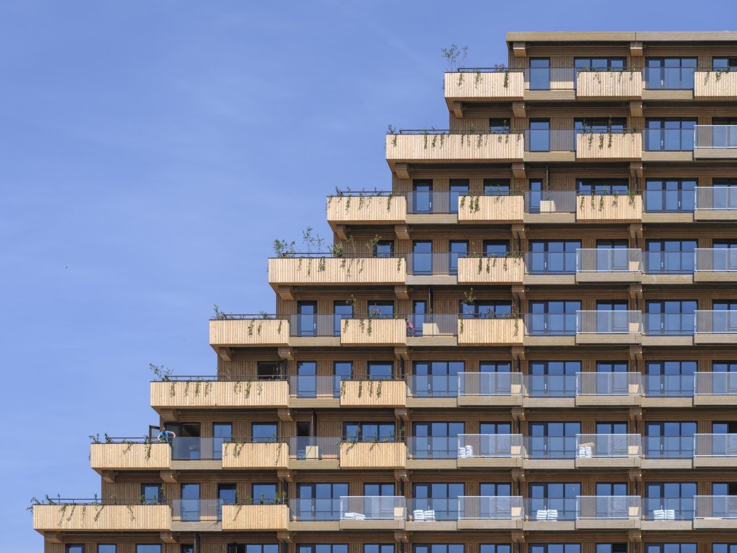 Mei Architects and Planners