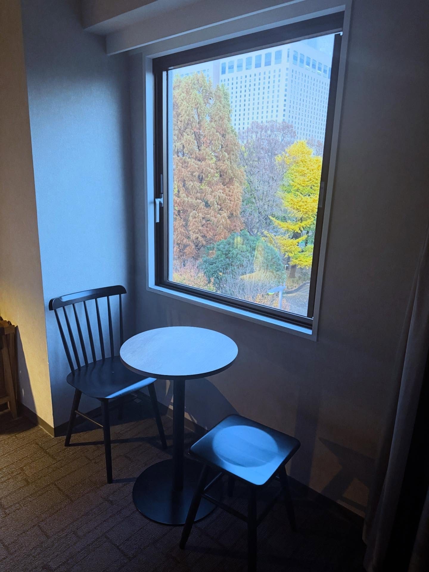 Il panorama dalla camera d’albergo in Giappone