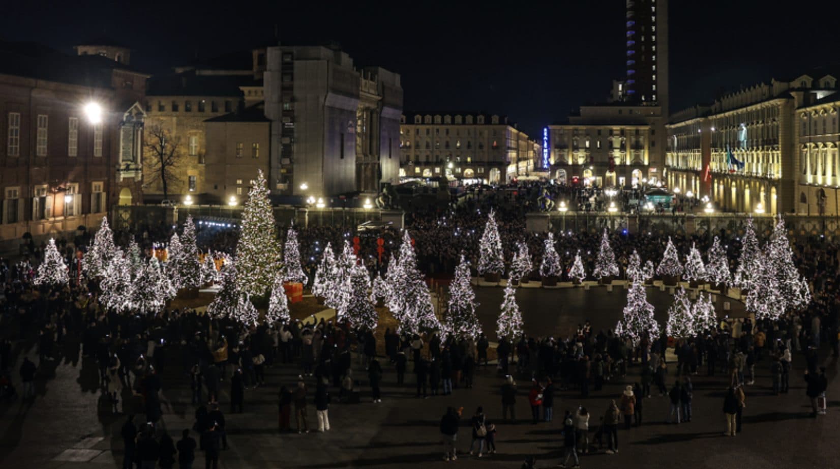 Boschetto di Natale, Piazzetta Reale, Torino