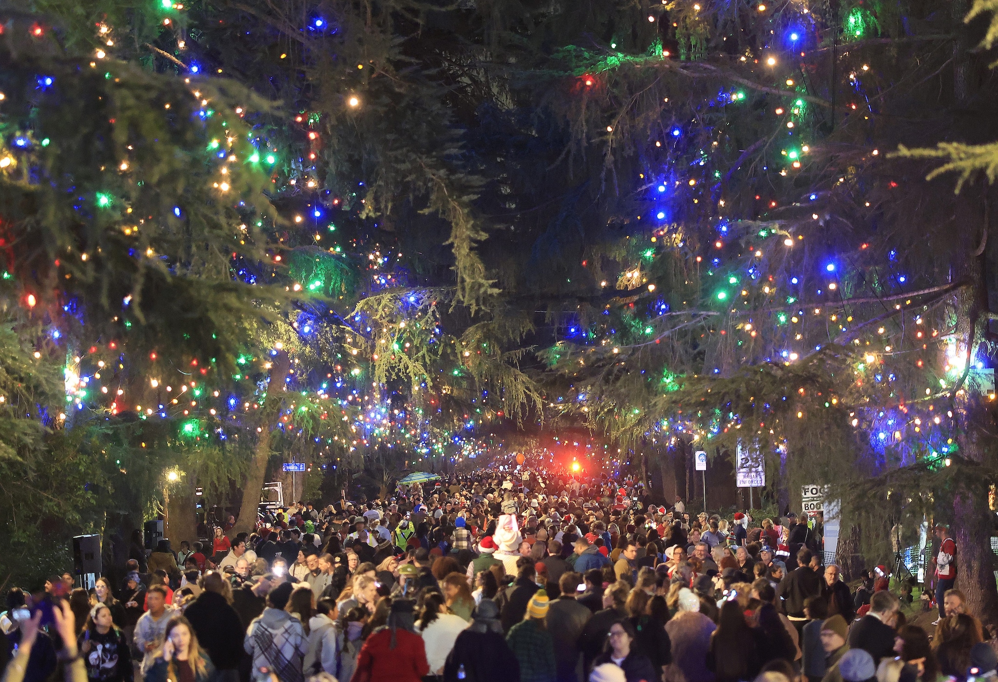 Christmas Tree Lane Altadena