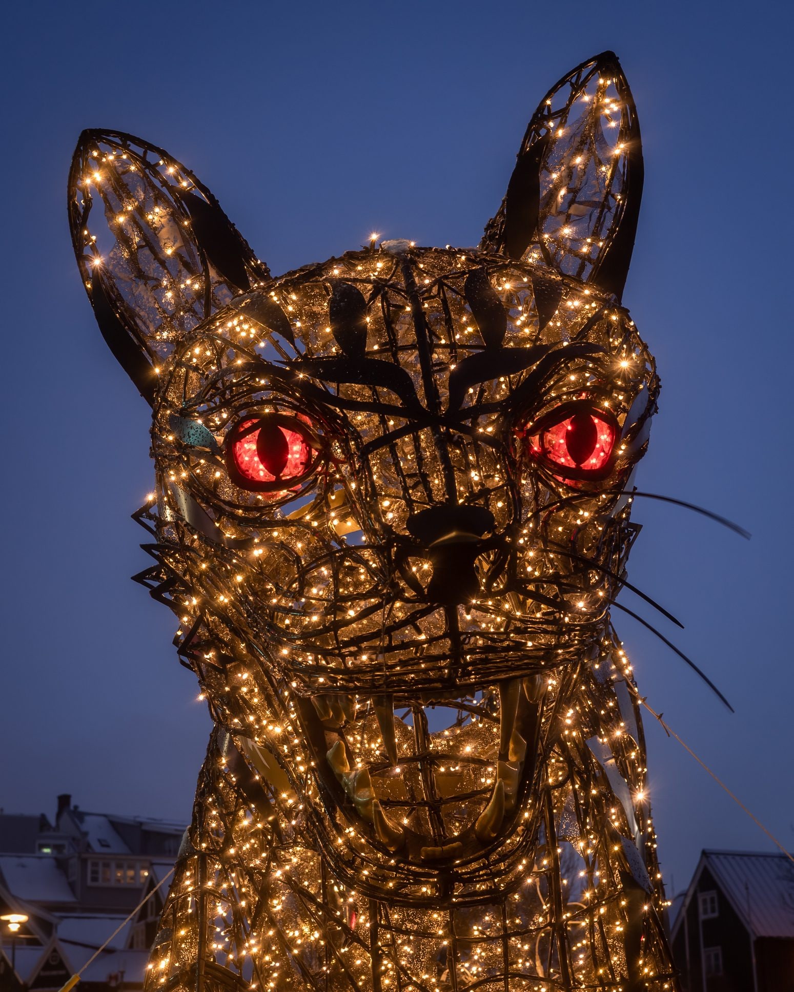 Gatto di Natale, Islanda