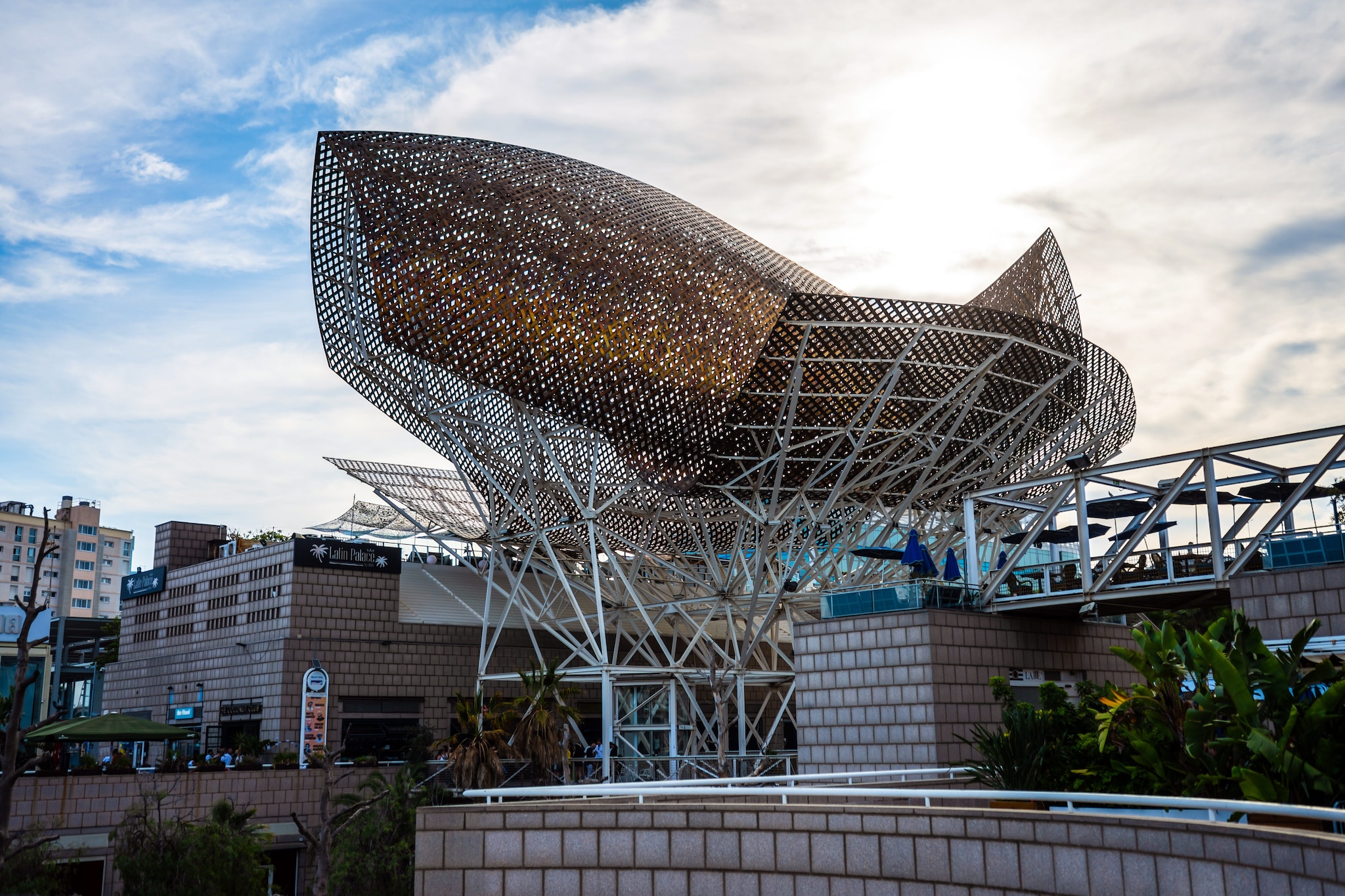 Il Pesce d’Oro, Barcellona