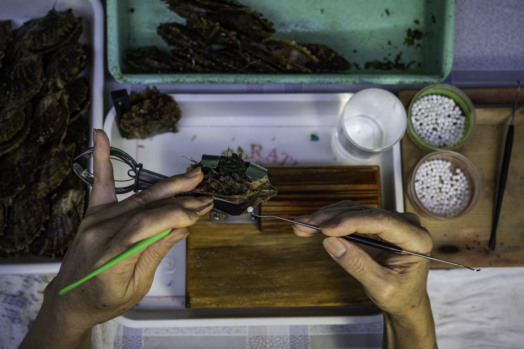 Le perle di Mie, Giappone