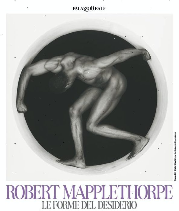 Robert Mapplethorpe, Le forme del desiderio