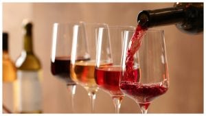 La guida Michelin presenta i "grappoli", ora anche il vino avrà le sue stelle