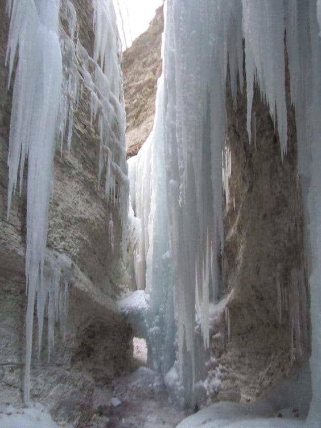 I Brent de l’Art in inverno