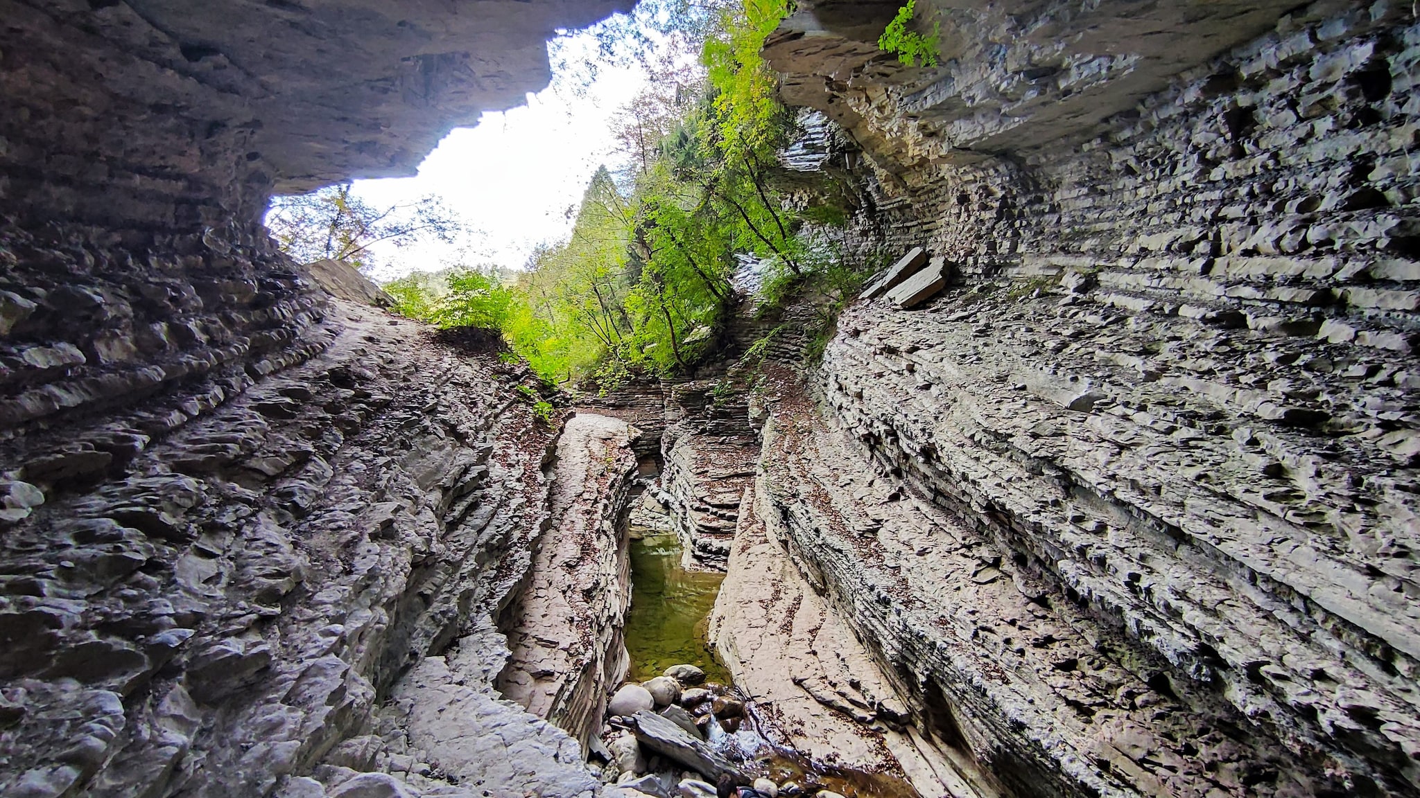 Dettaglio prospettiva dei Brent de l’Art