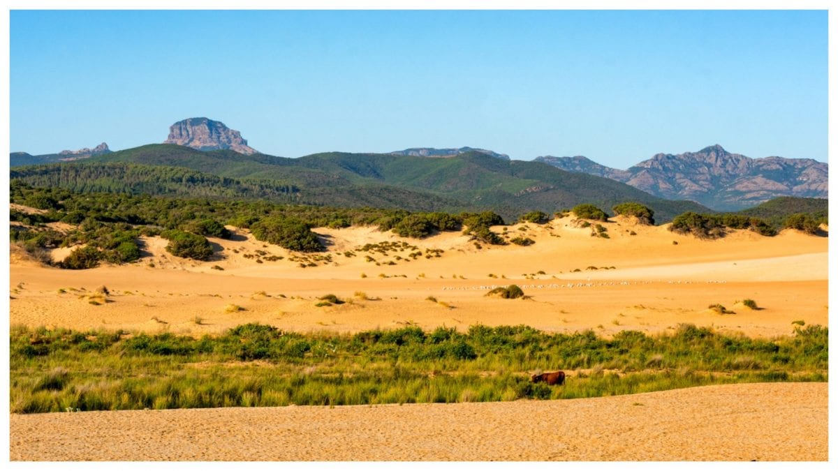 Dune di Piscinas, Sardegna