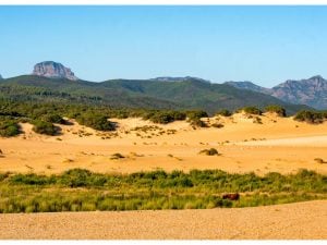 Dune-di-Piscinas-Sardegna-300x225.jpg