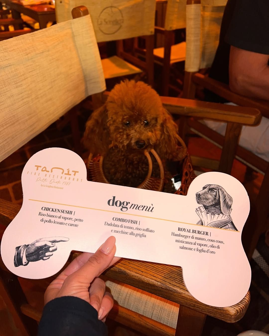 Foto del dog menù del ristorante La Scogliera (sede in Sardegna) dall’instagram di Nicoletta Larini