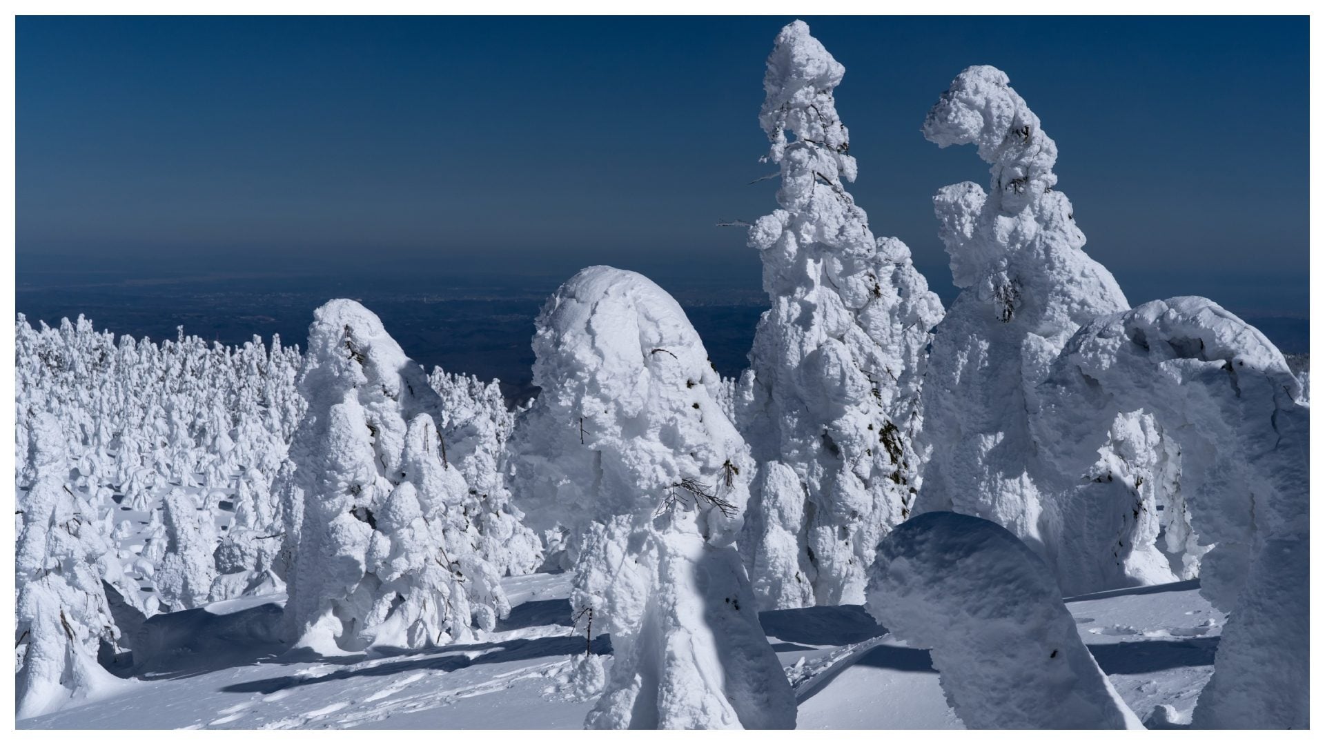 Cosa sono e come nascono i Juhyo, i mostri di neve giapponesi