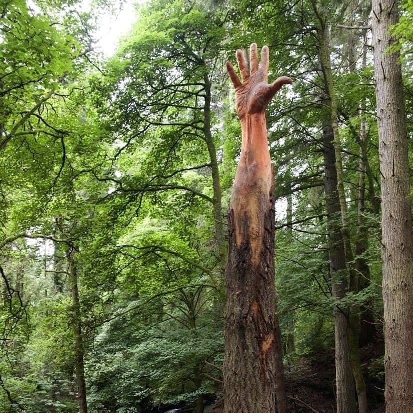 The Giant Hand of Vyrnwy, dal sito di Simon O’Rourke https://treecarving.co.uk/