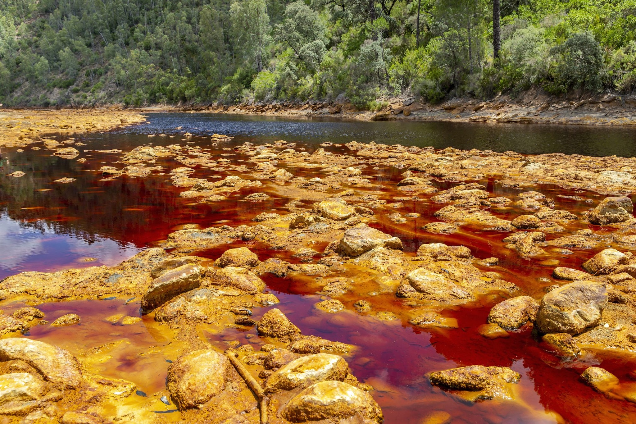 Dove si trova il fiume rosso studiato dalla NASA perché sembra di essere su Marte