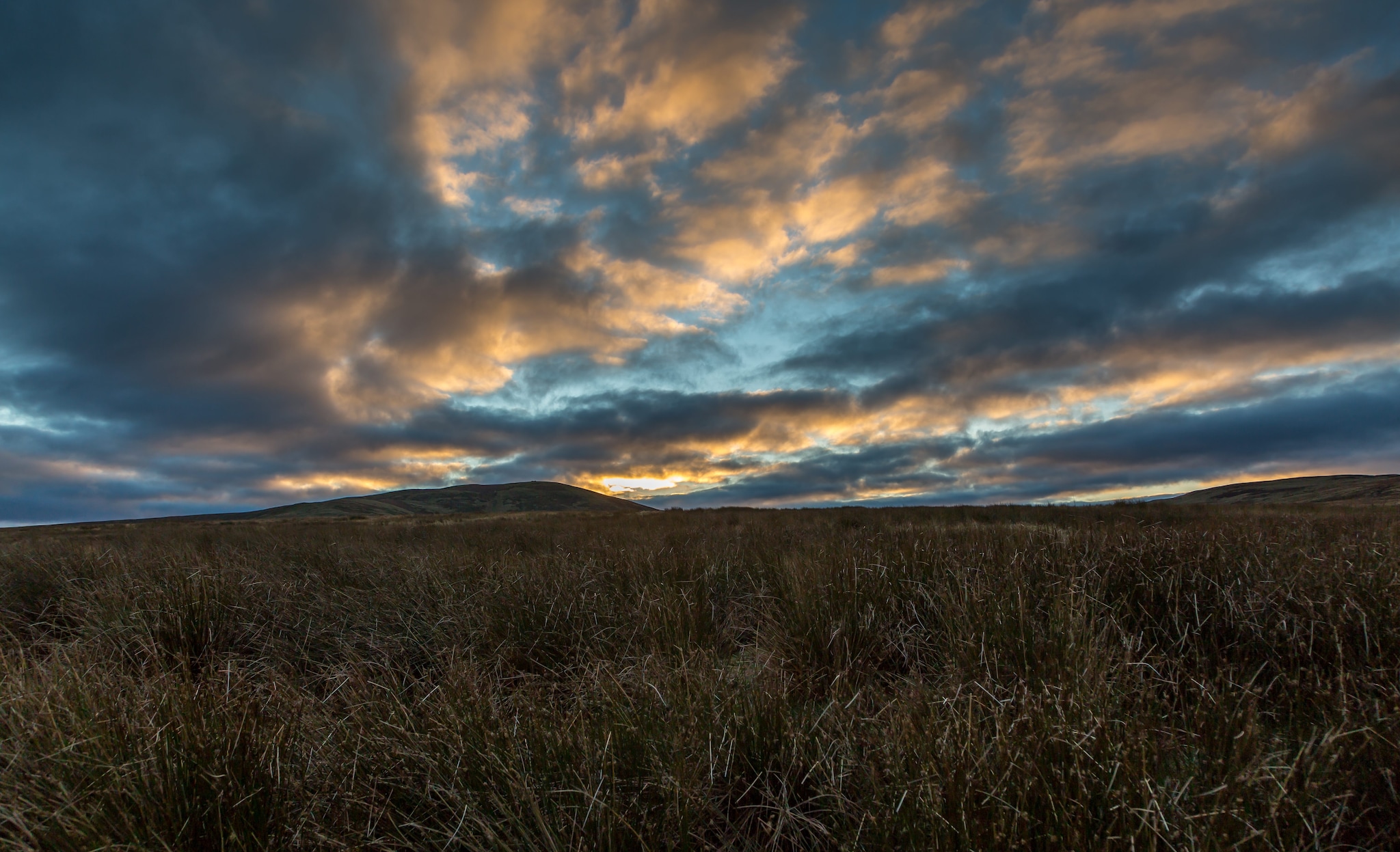 Northumberland International Dark Sky Park
