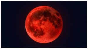 Dalla Luna del Sangue a quella Rosa: le 13 lune piene da non perdere nel 2026