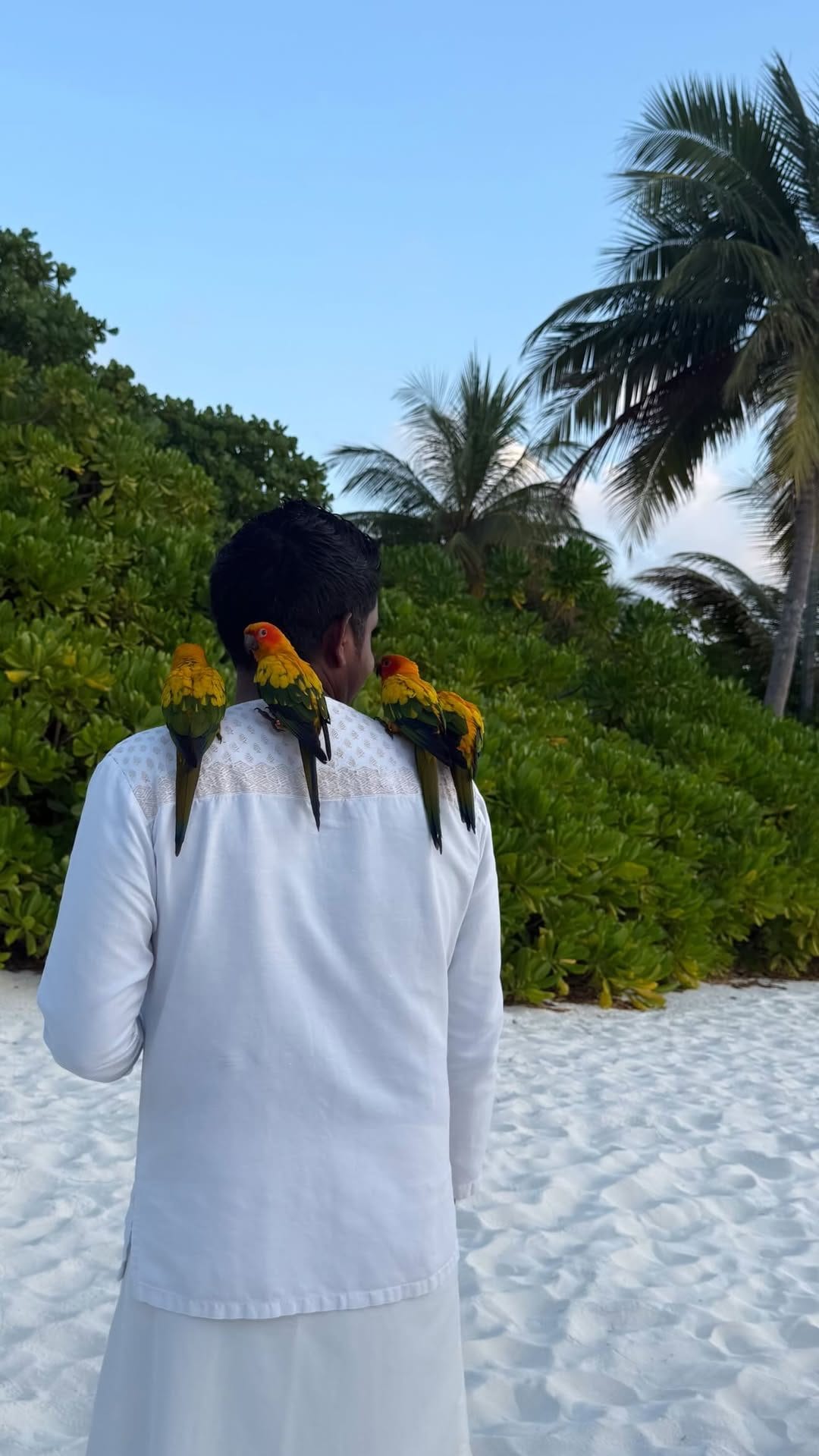 Dall’Instagram di Melissa Satta, una persona delle Maldive con uno dei tipici pappagalli dell’isola