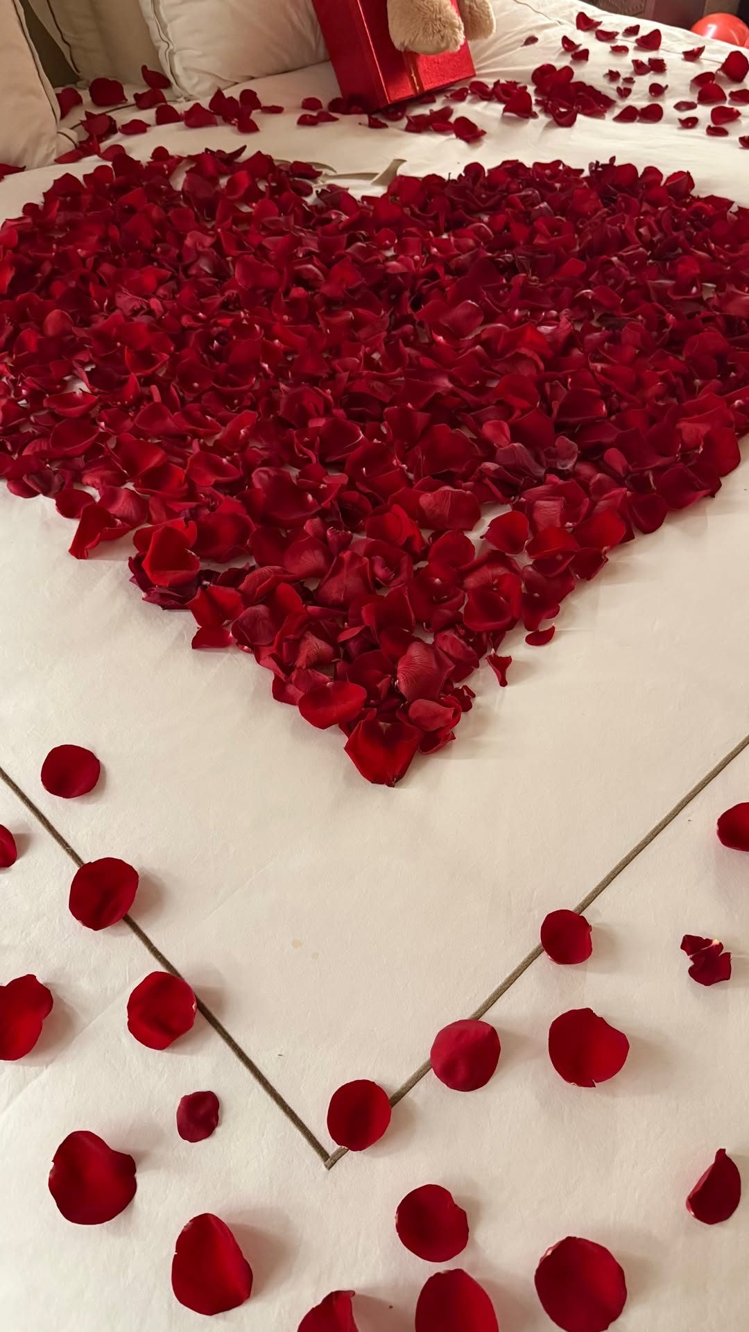 Il cuore di petali di rose rosse che Afrojack ha preparato per Elettra