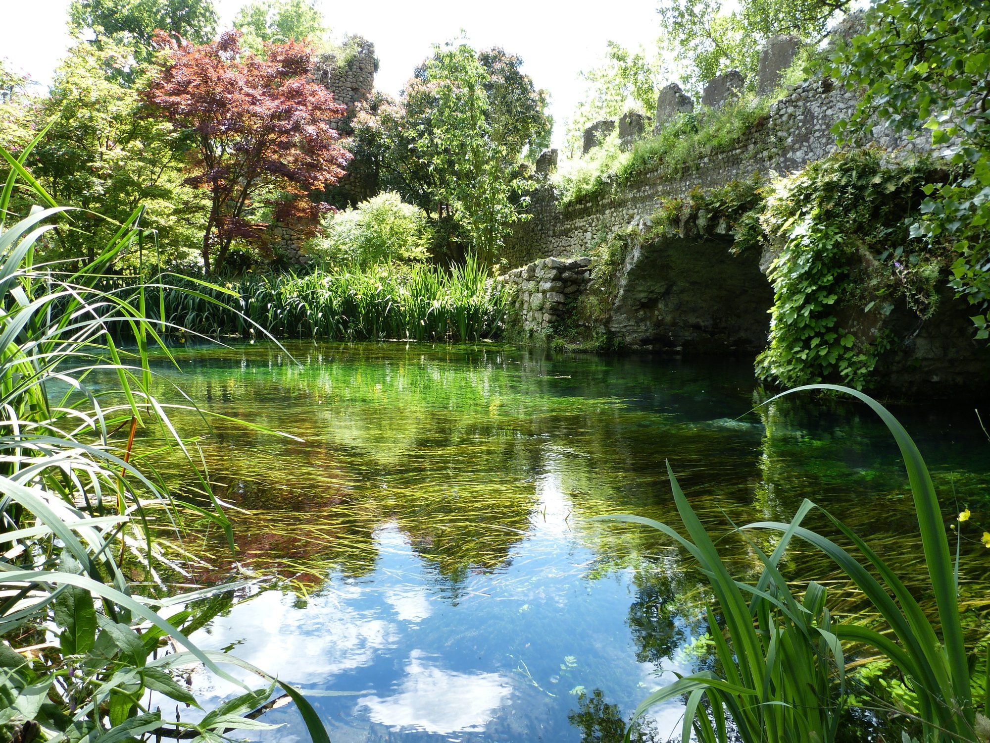 La natura del Giardino di Ninfa